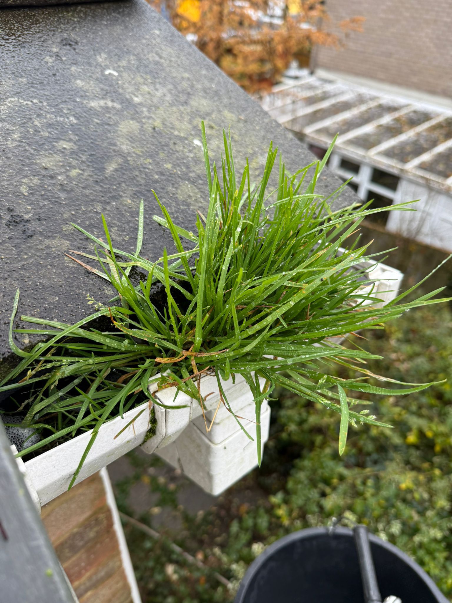 Blocked gutter downpipe in Hayes